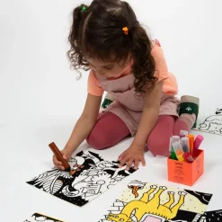 OMY U.S. Animal Velvet Coloring Set