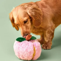 Online The Foggy Dog Apple Interactive Snuffle Dog Toy