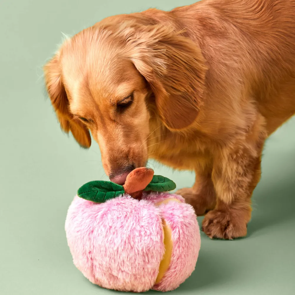 Online The Foggy Dog Apple Interactive Snuffle Dog Toy