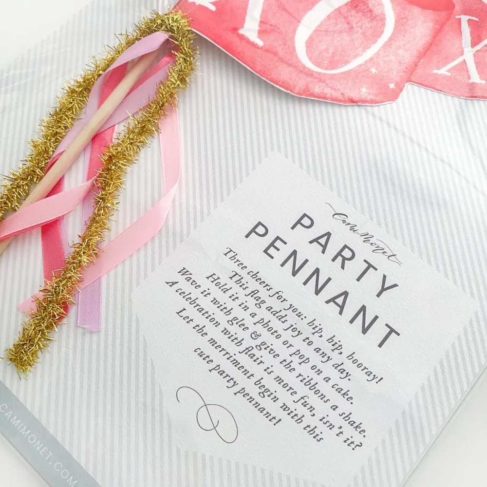 New Cami Monet Be Mine Party Pennant
