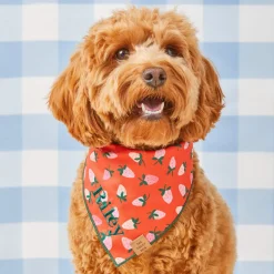 Hot The Foggy Dog Berry Sweet Dog Bandana