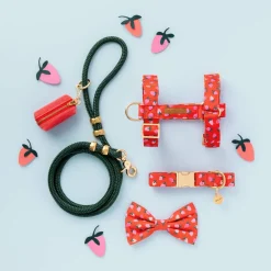 Hot The Foggy Dog Berry Sweet Dog Collar