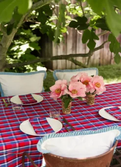 Discount Heather Taylor Home Betty Plaid Red Napkins