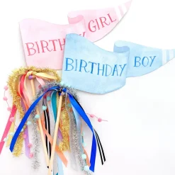 Cami Monet Birthday Boy Party Pennant