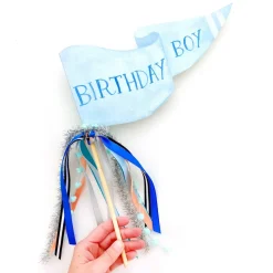 Cami Monet Birthday Boy Party Pennant