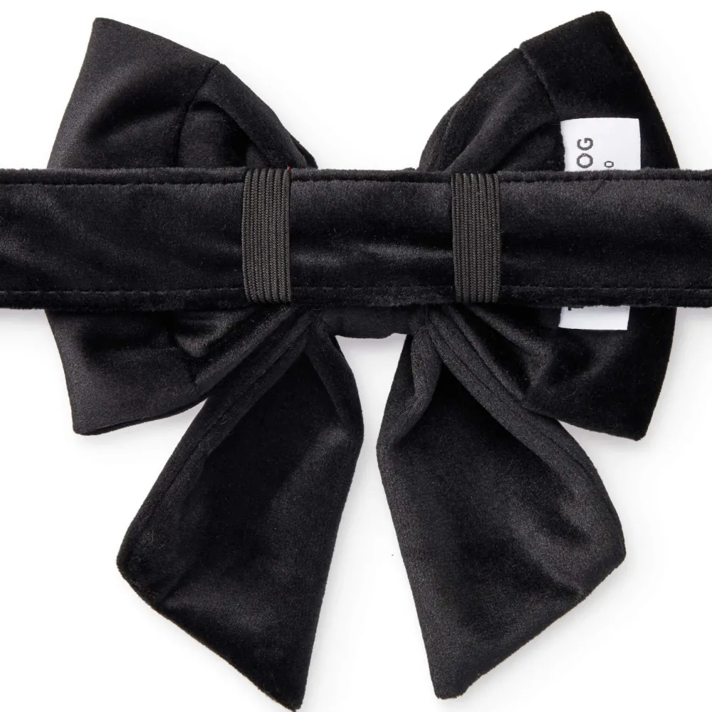 New The Foggy Dog Black Velvet Lady Dog Bow