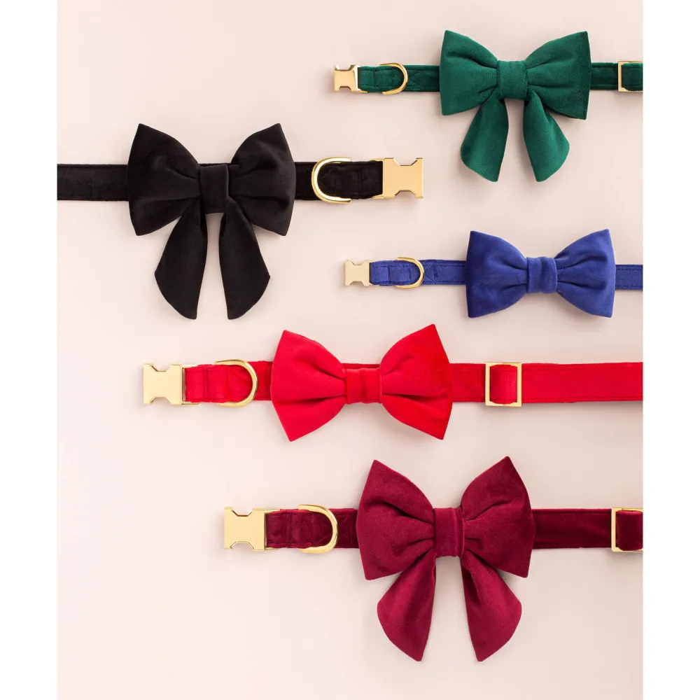 New The Foggy Dog Black Velvet Lady Dog Bow