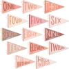 Sale Lucy Darling Blushing Meadow Petit Milestone Pennant