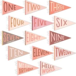 Sale Lucy Darling Blushing Meadow Petit Milestone Pennant