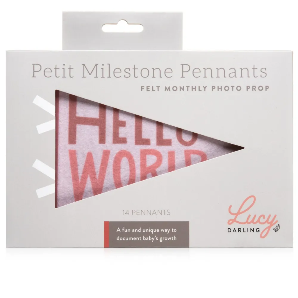 Sale Lucy Darling Blushing Meadow Petit Milestone Pennant