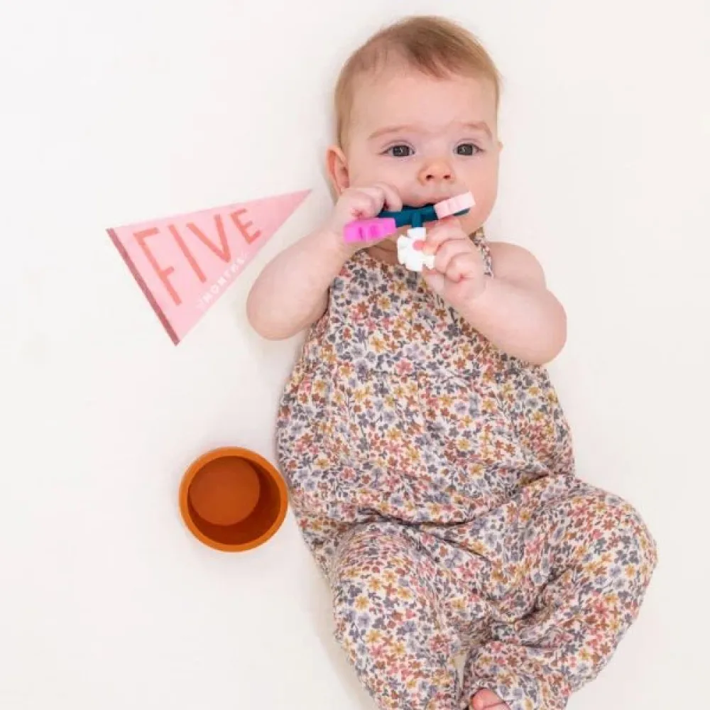 Sale Lucy Darling Blushing Meadow Petit Milestone Pennant