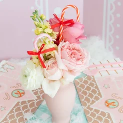 Discount Jollity & Co. + Daydream Society Candy Cane Pen