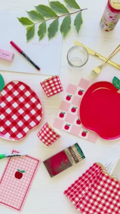 Clearance Bonjour Fete Cherry Red Gingham Favor Bags