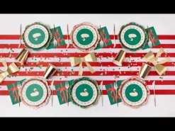 Bonjour Fete Cherry Red Signature Cabana Stripe Table Runner