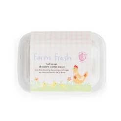 Clearance Jollity & Co. + Daydream Society Chocolate Scented Eraser Set