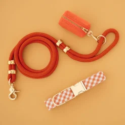 Discount The Foggy Dog Cider Gingham Collar Walk Set