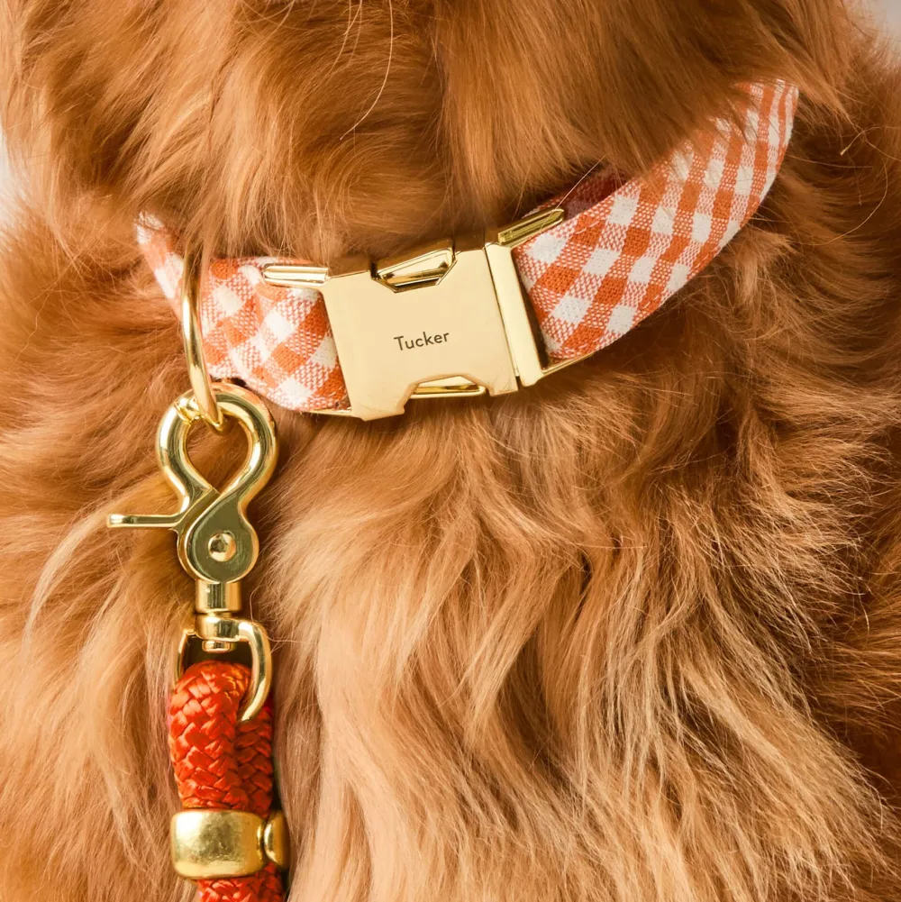 Discount The Foggy Dog Cider Gingham Dog Collar