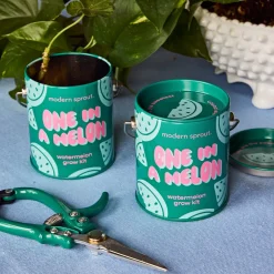Hot Modern Sprout Complimentary Colors Grow Kit