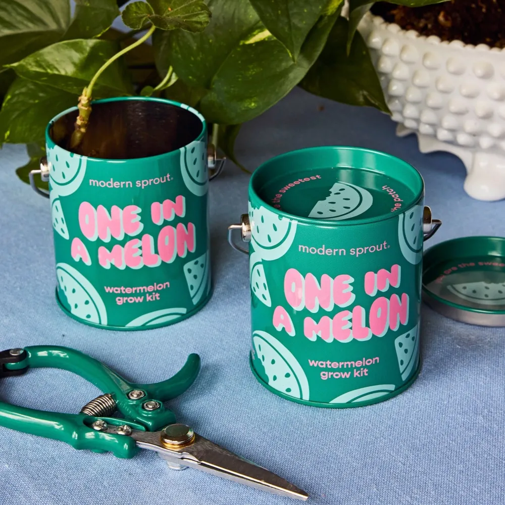 Hot Modern Sprout Complimentary Colors Grow Kit