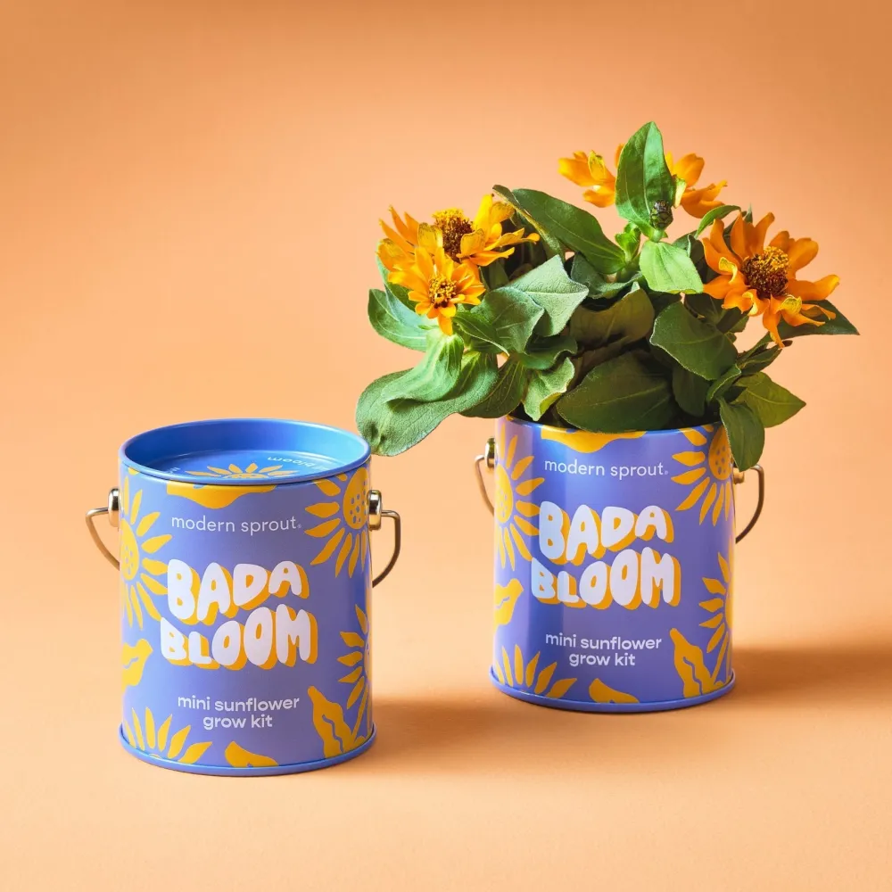 Hot Modern Sprout Complimentary Colors Grow Kit