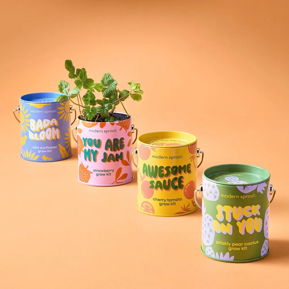Hot Modern Sprout Complimentary Colors Grow Kit