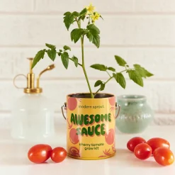 Hot Modern Sprout Complimentary Colors Grow Kit