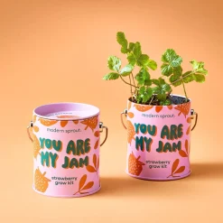 Hot Modern Sprout Complimentary Colors Grow Kit