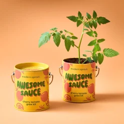 Hot Modern Sprout Complimentary Colors Grow Kit