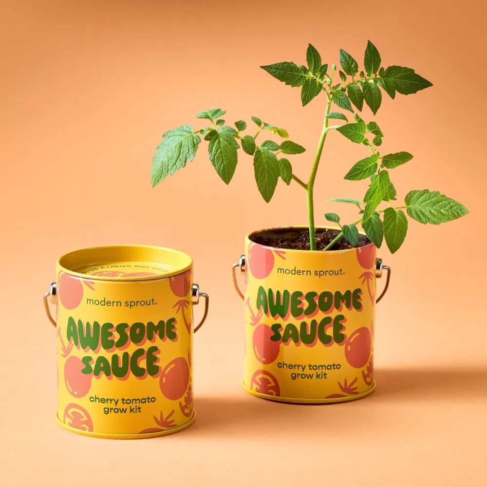 Hot Modern Sprout Complimentary Colors Grow Kit