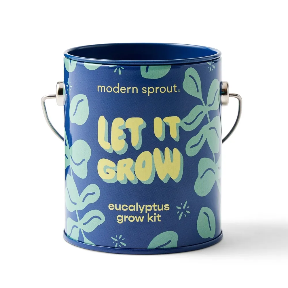 Hot Modern Sprout Complimentary Colors Grow Kit