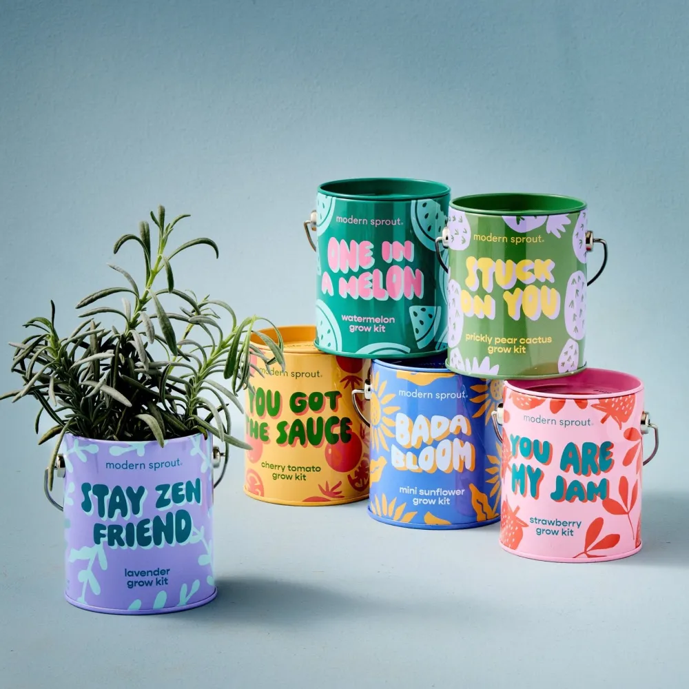 Hot Modern Sprout Complimentary Colors Grow Kit
