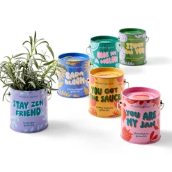 Hot Modern Sprout Complimentary Colors Grow Kit