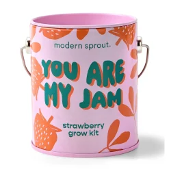 Hot Modern Sprout Complimentary Colors Grow Kit