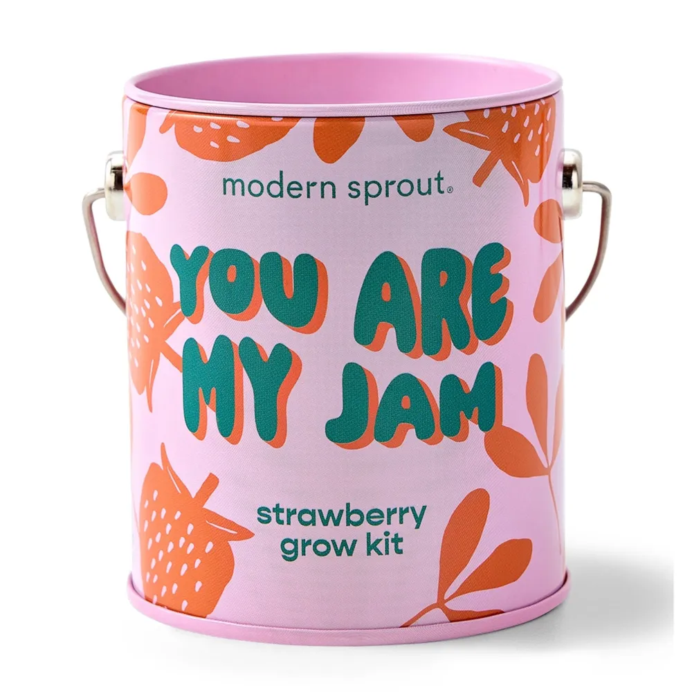 Hot Modern Sprout Complimentary Colors Grow Kit