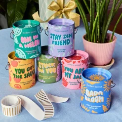 Hot Modern Sprout Complimentary Colors Grow Kit