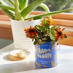 Hot Modern Sprout Complimentary Colors Grow Kit