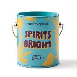 Hot Modern Sprout Complimentary Colors Grow Kit