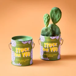 Hot Modern Sprout Complimentary Colors Grow Kit