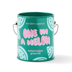 Hot Modern Sprout Complimentary Colors Grow Kit