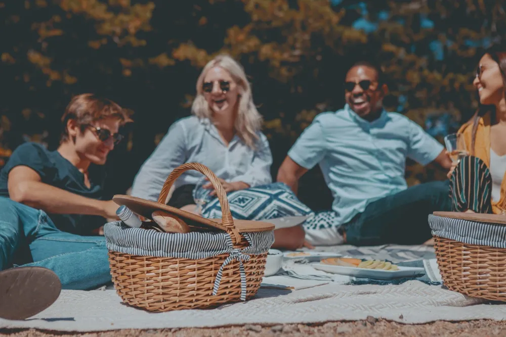 Picnic Time Family of Brands Country Picnic Basket