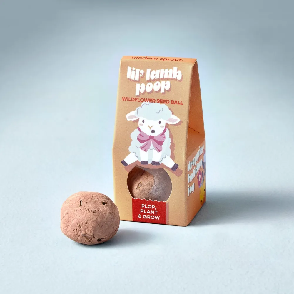 Discount Modern Sprout Easter Wildflower Seed Ball