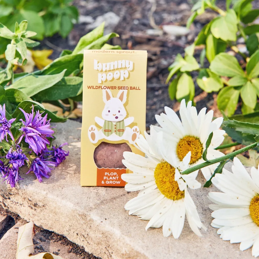 Discount Modern Sprout Easter Wildflower Seed Ball