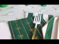 New Bonjour Fete Emerald Green Signature Cabana Stripe Plates