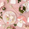 Meri Meri Fairy Dinner Plates