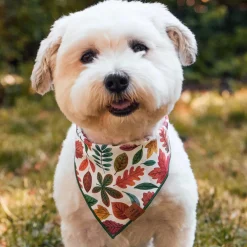 Outlet The Foggy Dog Falling Leaves Dog Bandana