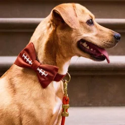 New The Foggy Dog Football Embroidered Bow Tie Collar