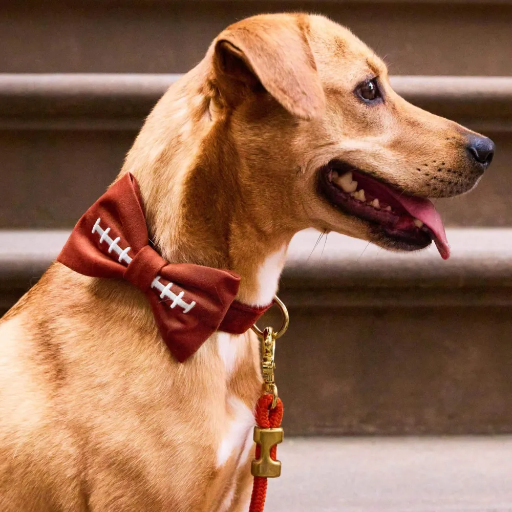 Hot The Foggy Dog Football Embroidered Dog Bow Tie