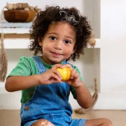 Online HABA USA Fun with Sounds Wooden Eggs
