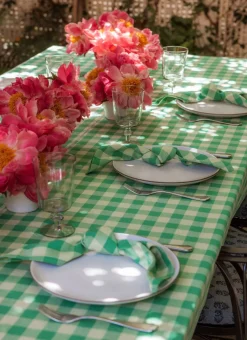 Discount Heather Taylor Home Gingham Lime Napkins