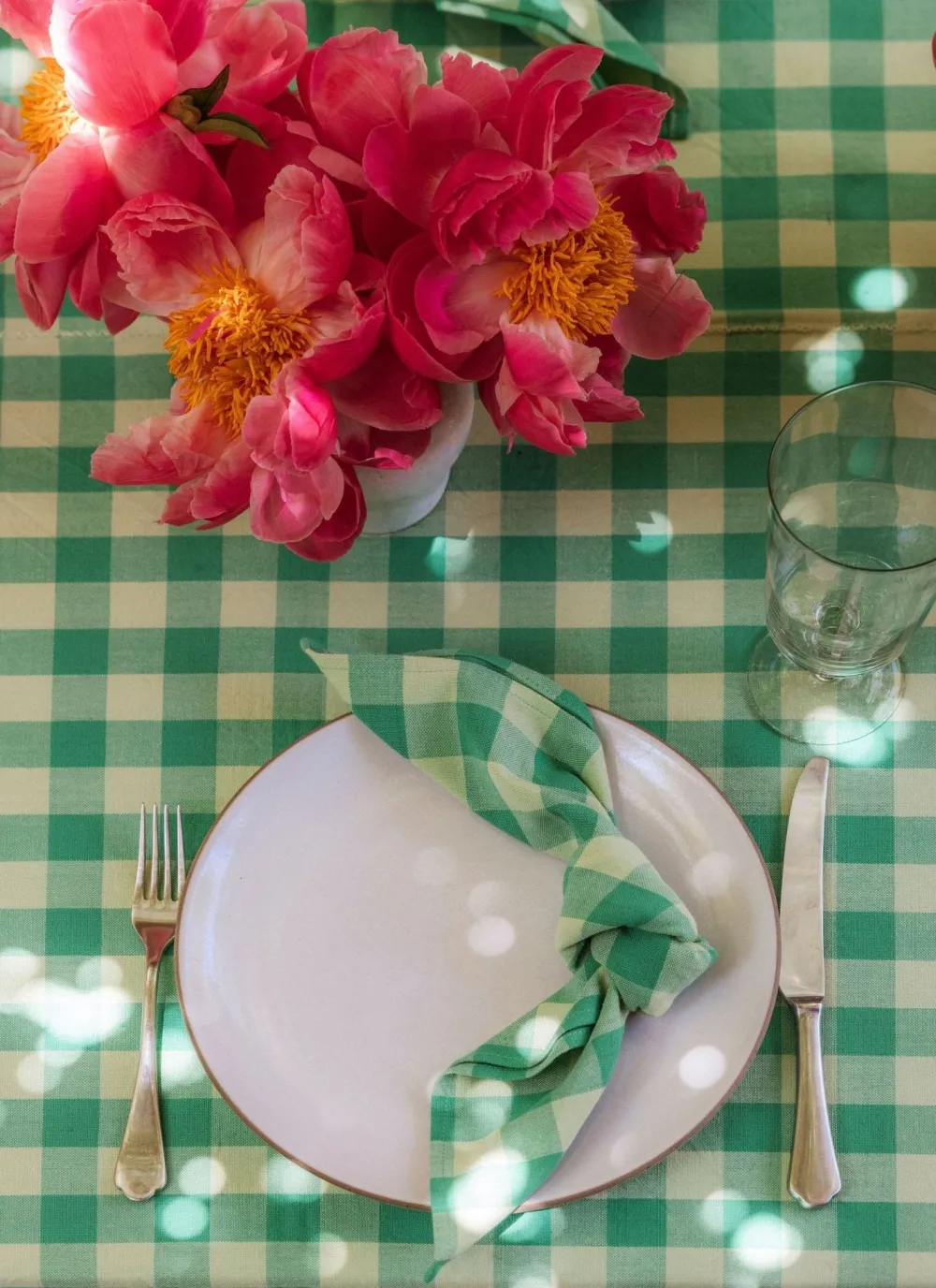 Discount Heather Taylor Home Gingham Lime Napkins